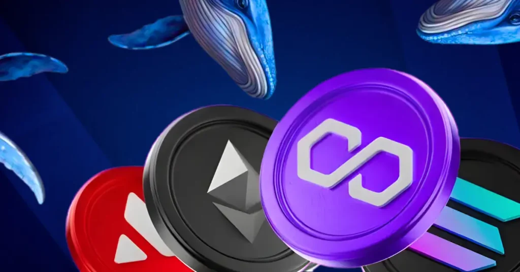 Whale Transactions Spike Across Altcoins as Smart Money Circles Key Levels
